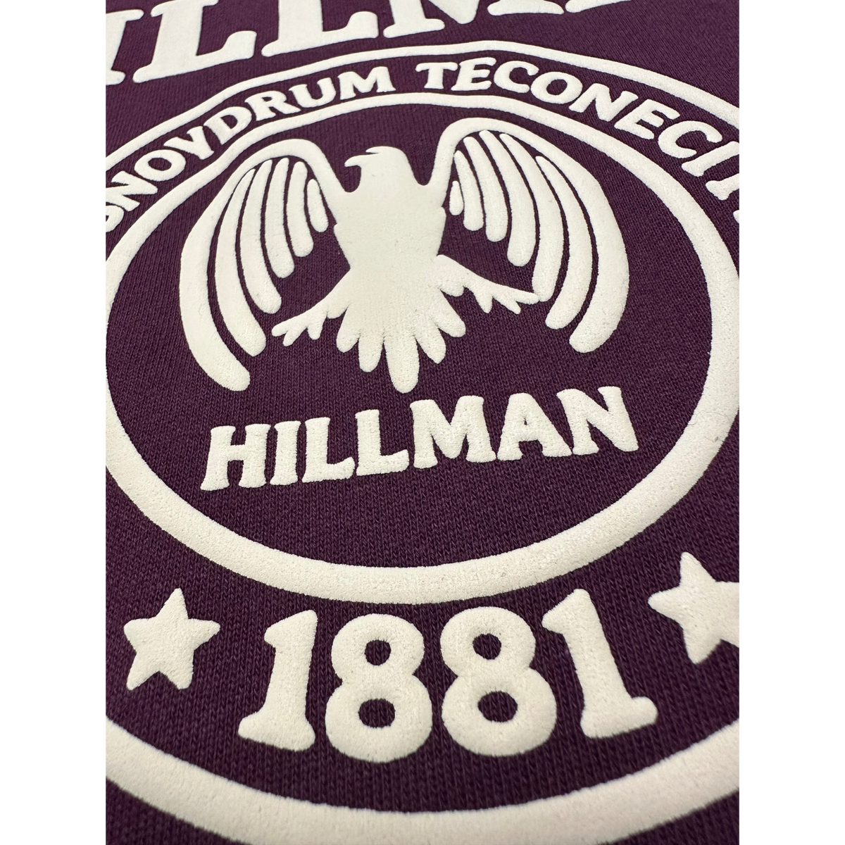 Hillman College Official 3D Puff Hoodie