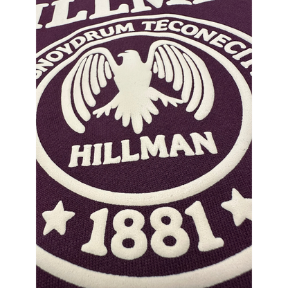 Hillman College Official 3D Puff Hoodie